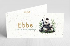 Grote panda en kleine panda Grote panda en kleine panda